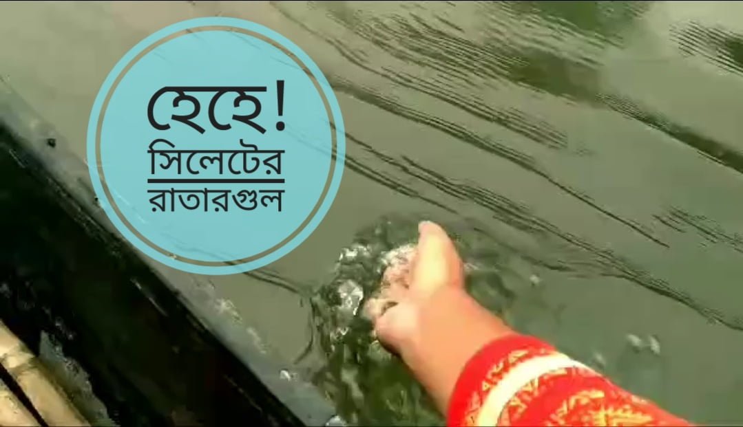 হেহে! সিলেটের রাতারগুলের ভিডিও (স্মৃতি)