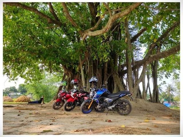 ব্রাহ্মণবাড়িয়ার অষ্টগ্রামের কালী বাড়ির বট গাছ তলা